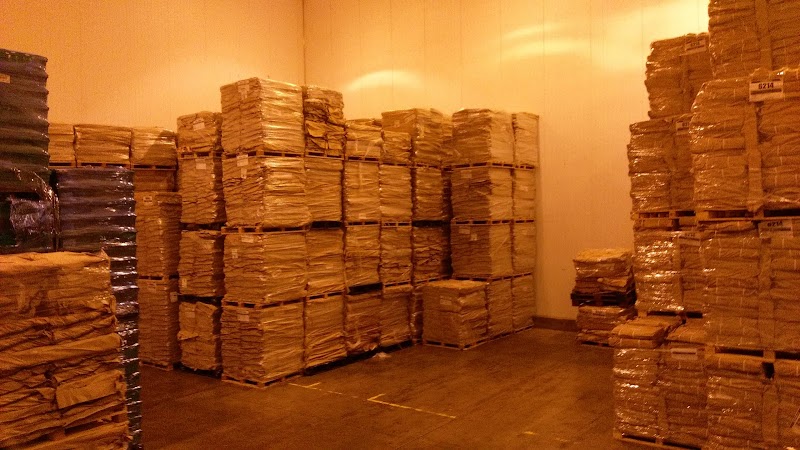 Andrew Johnson Knudtzon Ltd photo 2