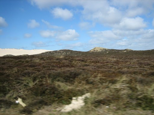 Weg durch die Dünenlandschaft - Thumbnail