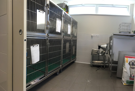 Clinique vétérinaire Kerzouvet Saint pol de Leon - Thumbnail