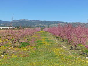 Photo n°1 de La Pampa au Mas des Issarts à Saint-Jean-de-Fos (Magasin bio)