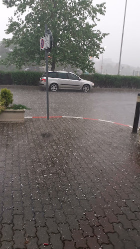 Opinii despre Restaurant Razliv Lukoil|РесторантРазлив Лукойл |Ресторант Правец|Обедно меню|Ресторант за бързо хранене|Ресторант Хемус în София - Ресторант