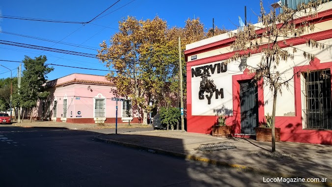 Nervio Gym, Author: Walter Nieto