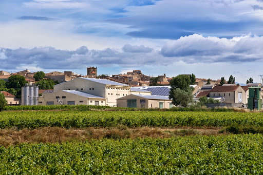 Terres Valdèze - Empreinte Vigneronne - Thumbnail