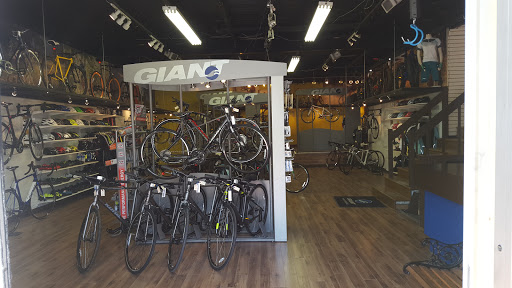 Cycle Outaouais - Visual
