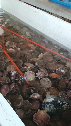 Delfin restorant, Marisquería y Pescadería - Restaurante