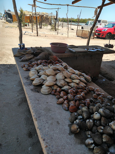 Mariscos "Candy" - Visual