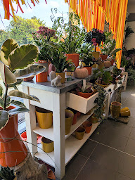 Photo n°57 de Ambiance Florale à Mauges-sur-Loire (Fleuriste)