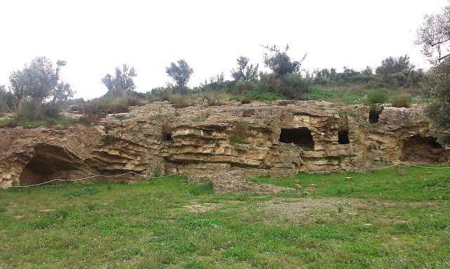 Nekropole von Puig des Molins