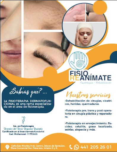 FISIOREANÍMATE - Visual