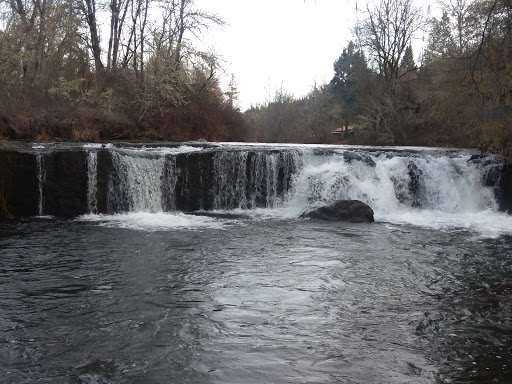 River Bridge Campground - Visual
