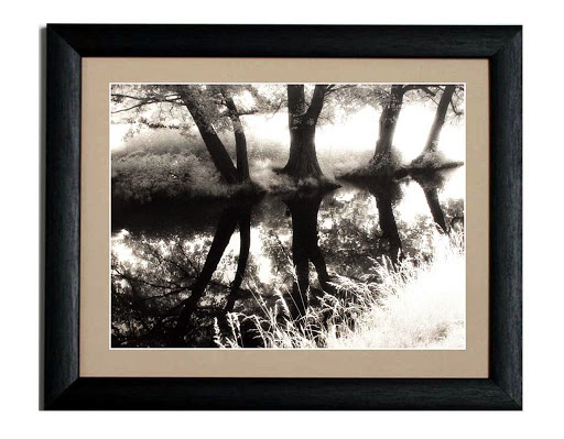 Tony Griffiths Photoframes Gallery - United Kingdom
