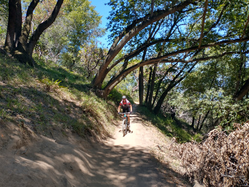 Back Ranch Meadows Campground Gallery - United States