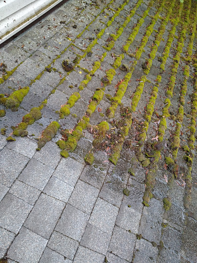 Ray's rooftop moss removal - Thumbnail