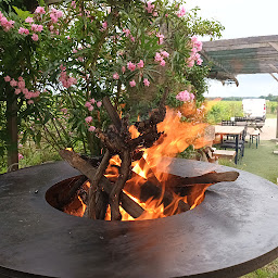 Photo n°5 de Château La Rose Monturon à Saint-Étienne-de-Lisse (Vignoble)