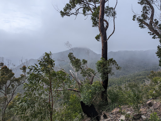 Southeast Ridge (Mount Barney) - Thumbnail