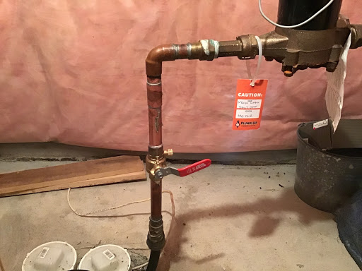 Plumbs Up Plumbing & Drains Logo