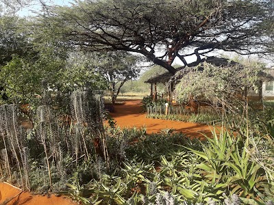 Photos of Sagala Lodge