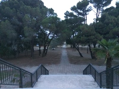 Photos of Hotel Bellevue