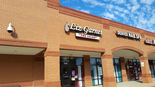 Liz Garnet "The Salon"