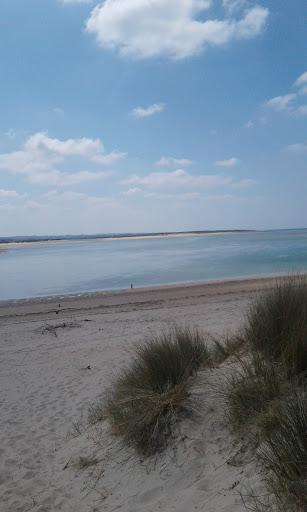Camping du Sud - Thumbnail