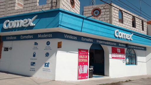 Tienda Comex Santa Catarina