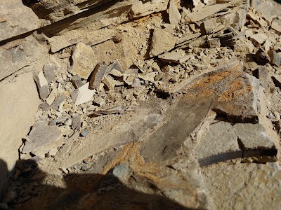 Stonerose Interpretive Center & Eocene Fossil Site