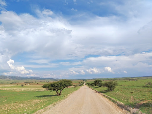 Sauces de Canutillo Ocampo Durango