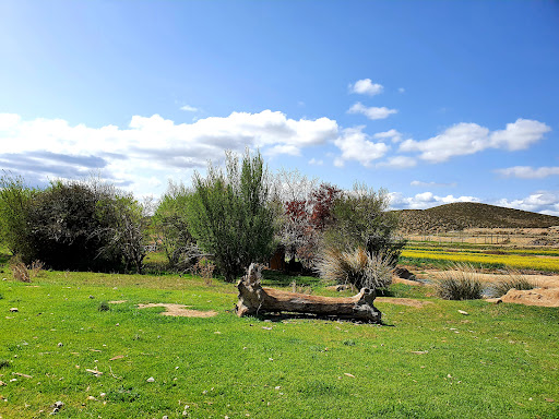 Fuente de Andacón - Thumbnail