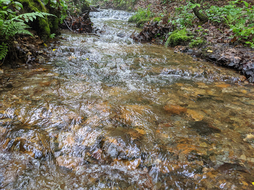 Little Mountain Falls Trail - Thumbnail