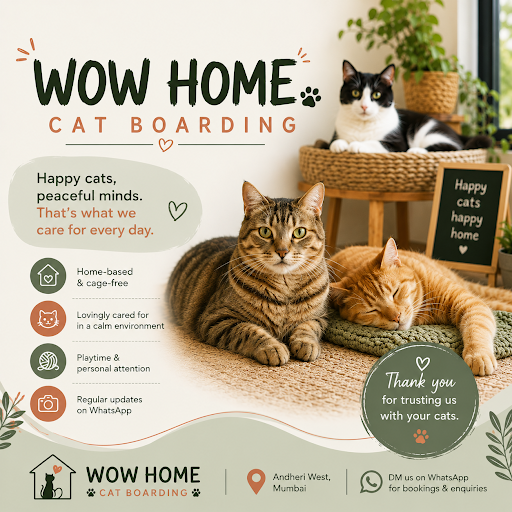 Happy Cats • Calm Homes • Loving Care ❤️ post image