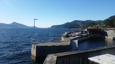 Photos of Steinvik Camping