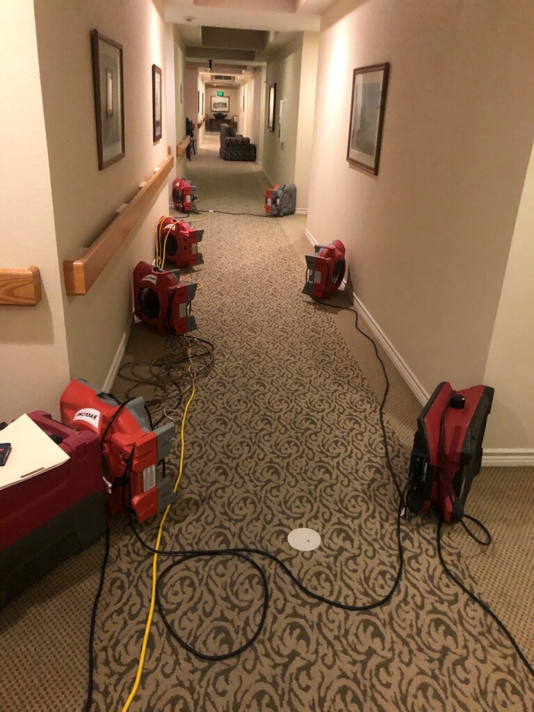 PuroClean of Fort Worth photo