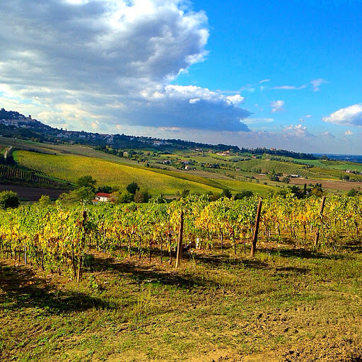 Podere Baratta - Visual