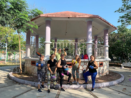 Pineapple Fitness Sm 31