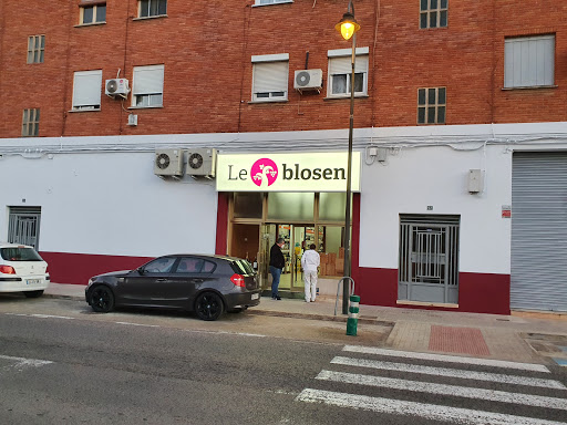Leblosen, S.L.