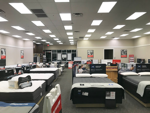 Mattress Firm Seminole City Center - Thumbnail