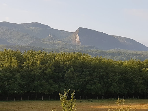 Photo de ADMR ST UZE à Saint-Uze (26240)