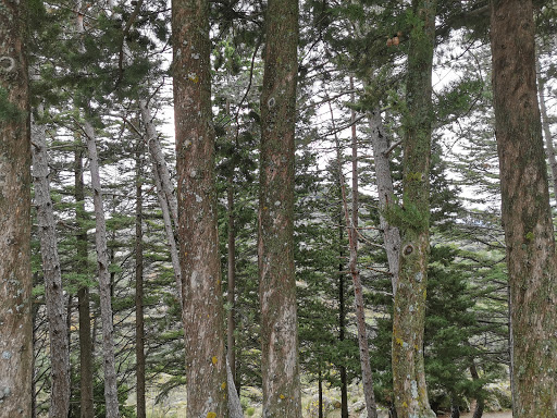 Parking Sierra de la Cabrera - Thumbnail