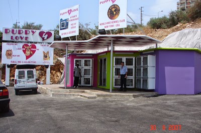 Photos of Mega Prefab Sal