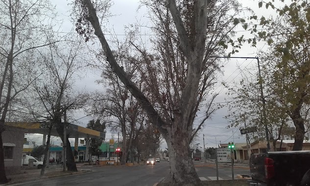 Hipermercado Libertad, Mendoza, Author: Cristina Segura