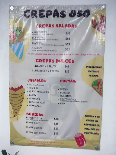 Crepas oso - Thumbnail