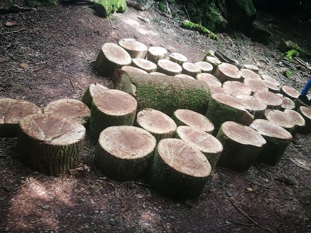 Puzzlewood