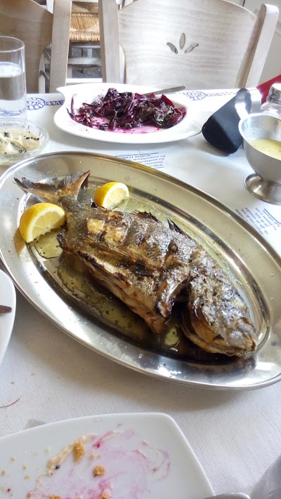 Photos of Ouzo - The Genti