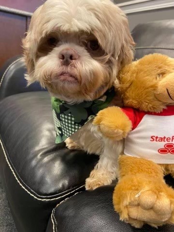 Sandy Kessler - State Farm Insurance Agent - Thumbnail