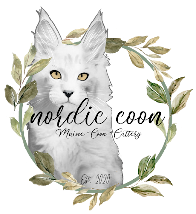 Nordic Coon Maine Coon Cattery