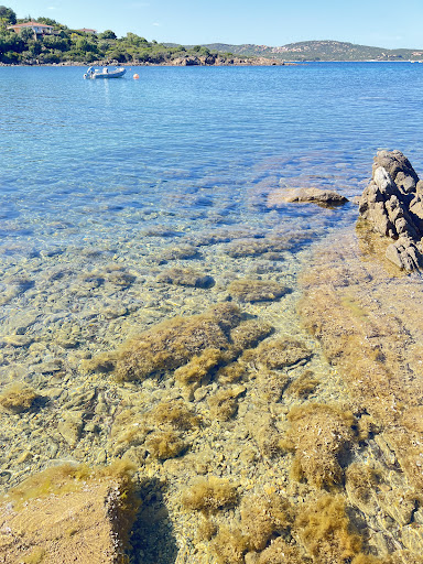 Spiaggia di Petra