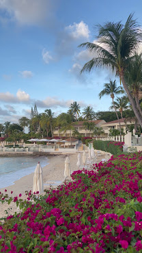 Blue Waters Resort and Spa by null
