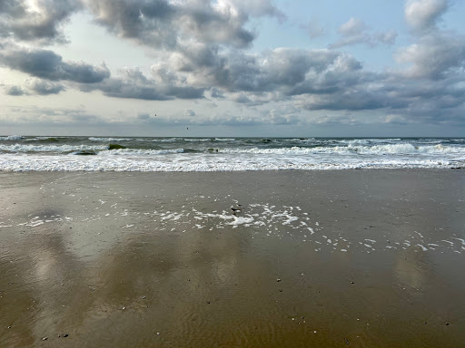 Stichting Dorpshuis "De Wielewaal" - Thumbnail