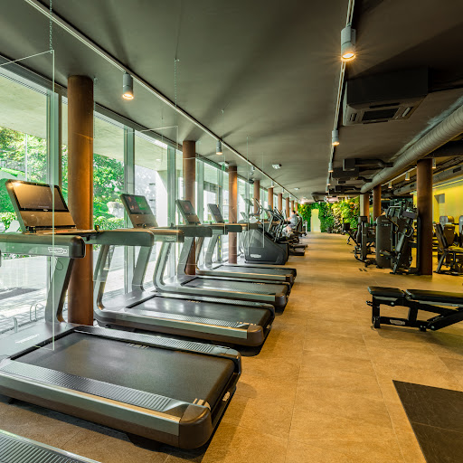Club Move SA Palestra - Thumbnail