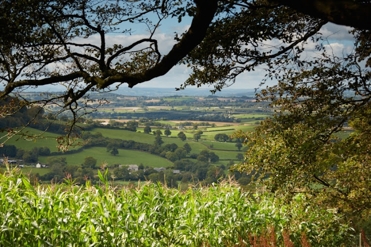 Combe Estate